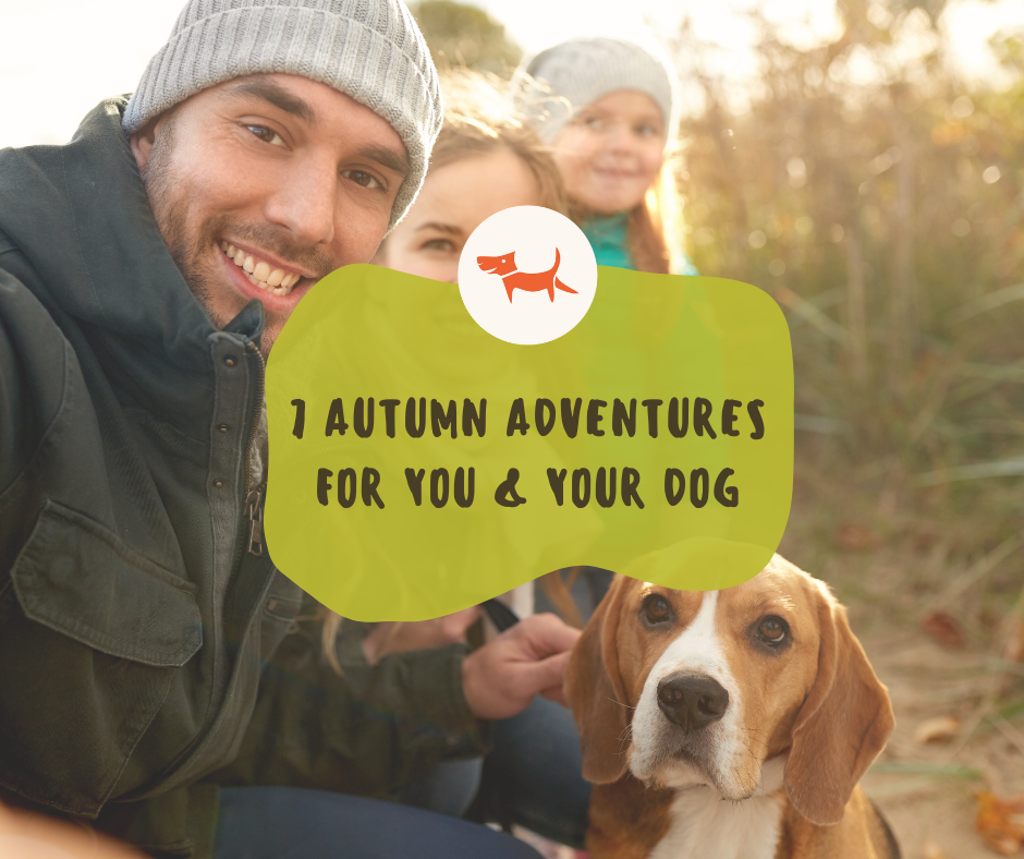 7 Autumn Adventures for You and Your Dog
