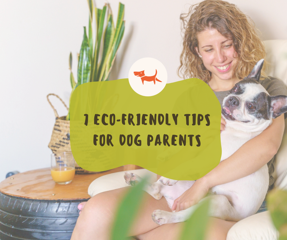 Seven Eco-Friendly Tips for Dog Parents