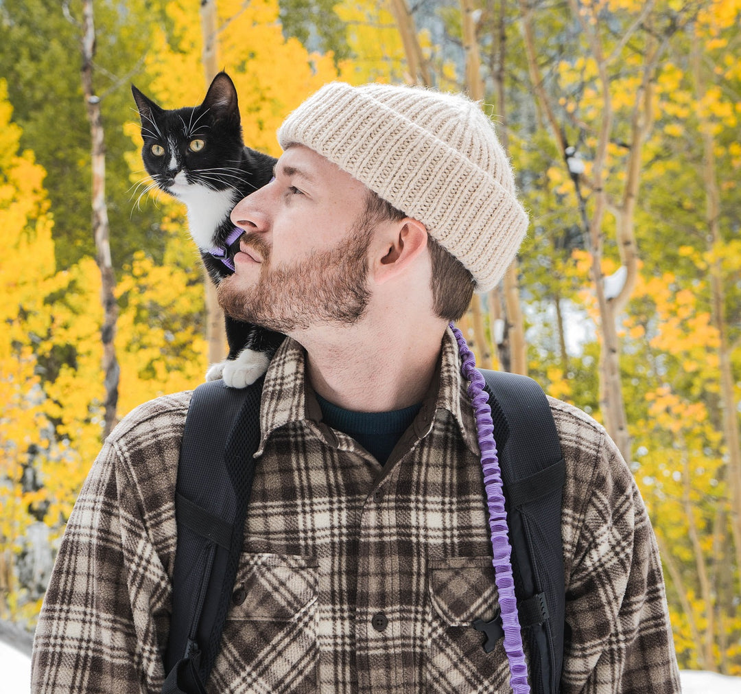 Cat’s Poop