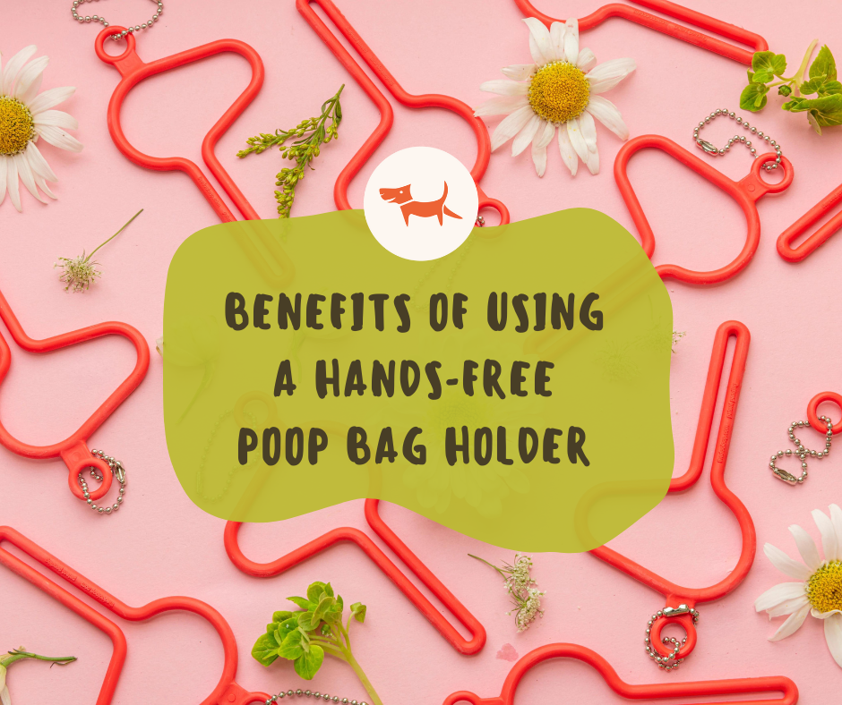 Leash Management Is Easier With A Poop Bag Holder: A Game Changer for Dog Owners