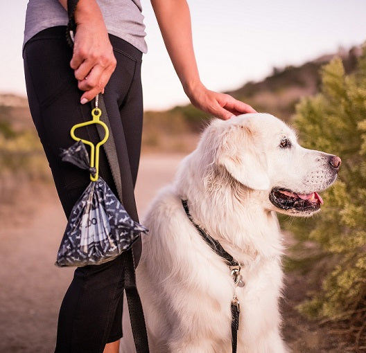 Dog and guardian carrying the dooloop
