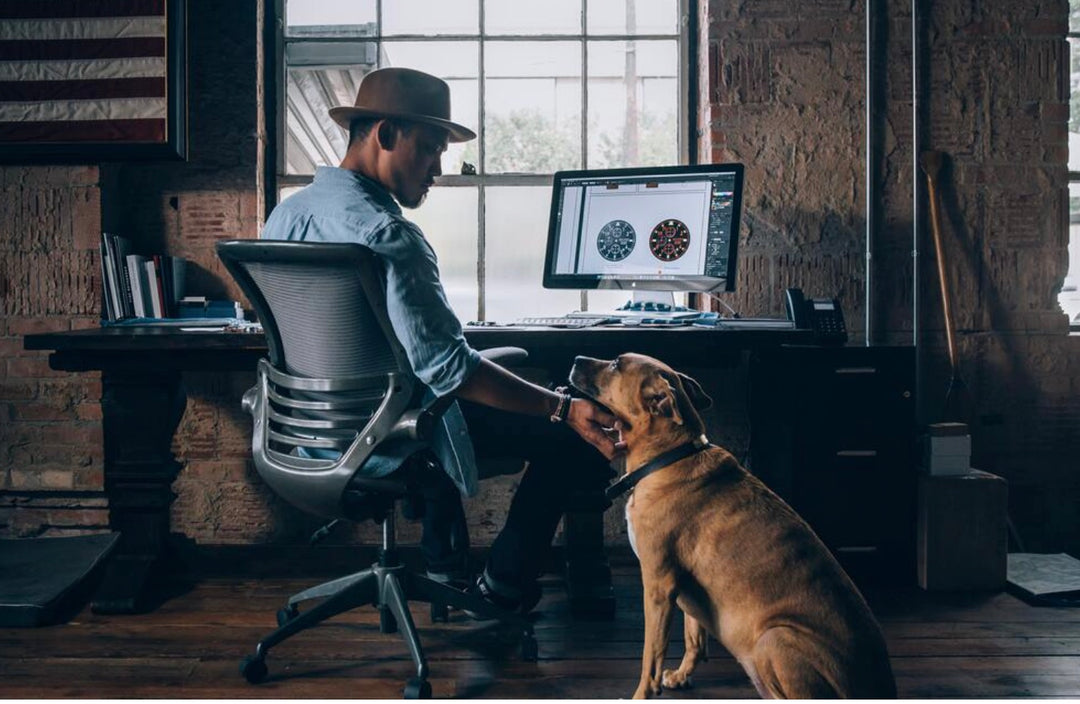 Expert Advice to Keep Your Pets Safe