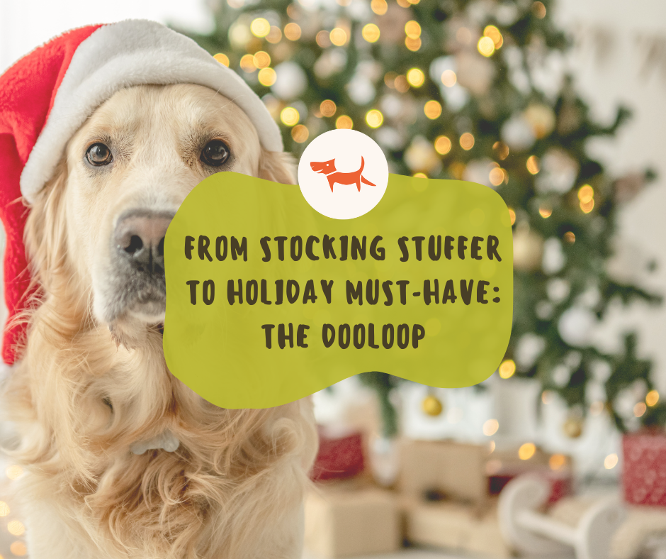 From Stocking Stuffer to Holiday Must-Have
