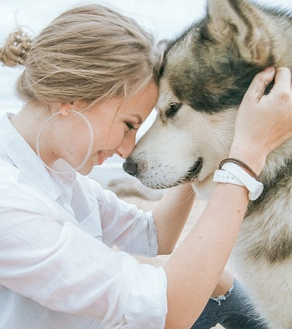 4 Ways Your Dooloop Dog Helps You Keep Calm and Carry On
