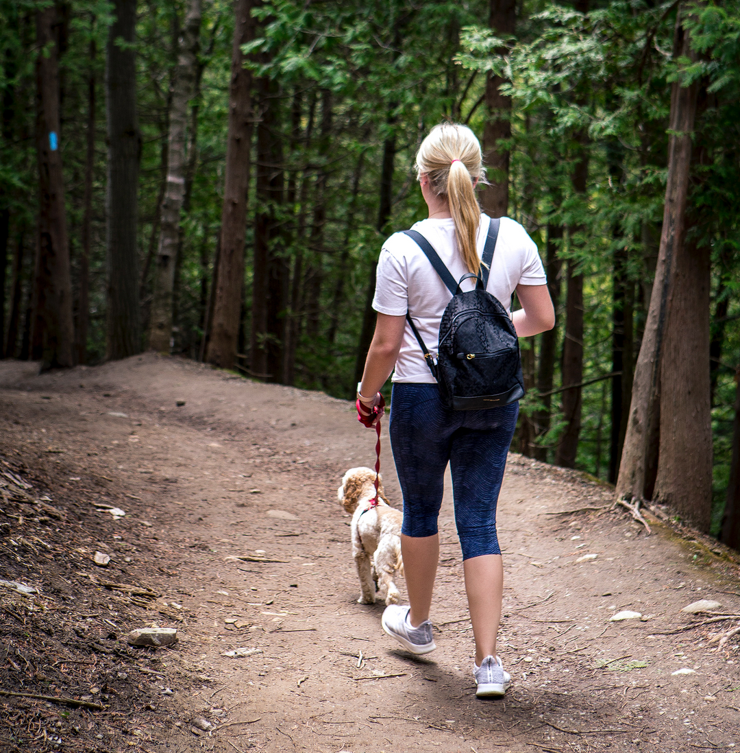Dog Poop is the New ‘Cow Fart.’ The Devastating Effect of Dog Poop on the Environment