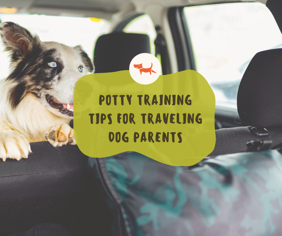 Potty Training Tips for Traveling Dog Parents