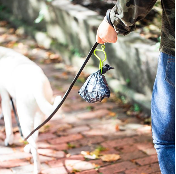 Things Stylish Humans Will Obsess Over