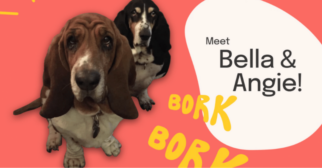 Doobert - Helping You Help Animals