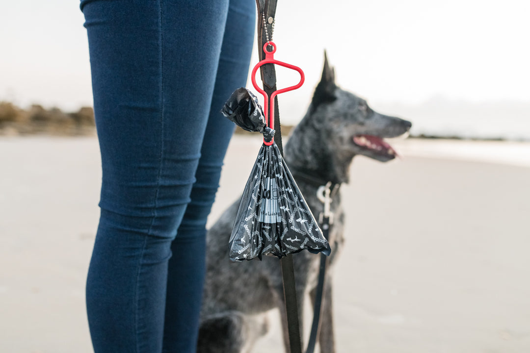 Prevention:  76 Best Gifts For Pet Lovers