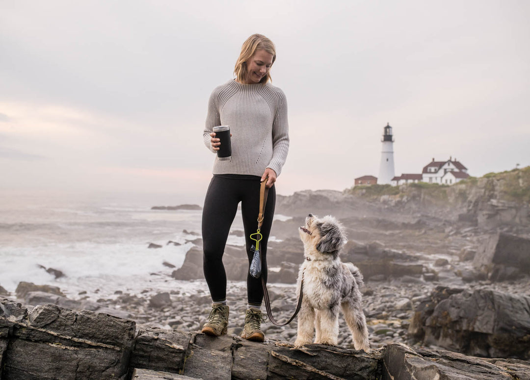 Championing Sustainability: Unusual Ways Dog Families Can Save the Planet